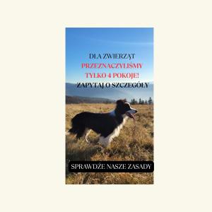 a book with a dog standing in a field at Willa JODŁA Wisła in Wisła