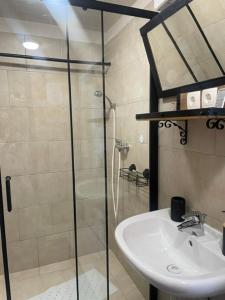 a bathroom with a glass shower and a sink at Sunny Karla apartment Dramlje in Dramlje +20 photos
