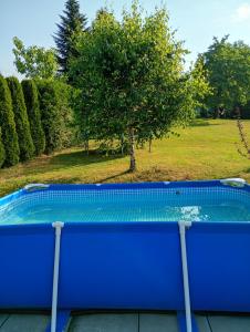 a blue swimming pool with a tree in a field at Idylla in Połom Mały