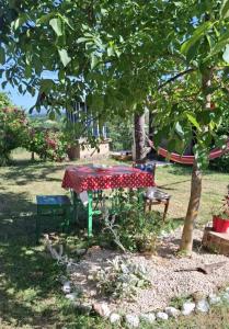 a picnic table in a park under a tree at Dragačevska kuća na bregu- Heritage House in Viča