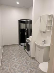 a bathroom with a washing machine and a sink at LIINA apartment in Vahtseliina