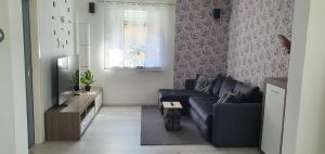 a living room with a blue couch and a tv at Ferienwohnung Christel und Andreas in Sulzfeld