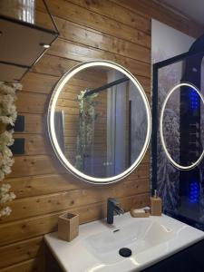 a bathroom with a sink and a mirror at Le Chalet Hubertus - Climatisé - 80 m2 in Rohrbach-lès-Bitche +35 photos
