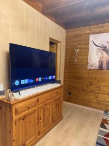 a large flat screen tv on a wooden wall at Le Chalet Hubertus - Climatisé - 80 m2 in Rohrbach-lès-Bitche