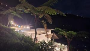 a tent with an umbrella and a palm tree at night at Numaya Glamping Type BOX in Garung