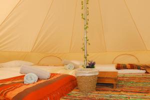 a couple of beds in a tent at Festival Glamping At The Drum - Glamping Village in Edinburgh