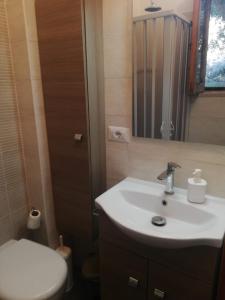 a bathroom with a sink and a toilet and a mirror at Da Riccardo in Malfa
