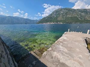 a view of a large body of water with mountains at Xigga apartments in Donji Stoliv +1 photo