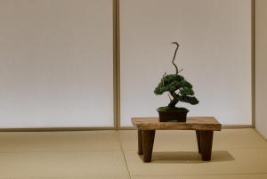 a small bonsai tree sitting on a table in a room at 穴吹邸 / ANABUKI-TEI in Takamatsu
