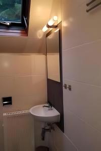 a bathroom with a sink and a mirror at Ferienhaus Tindy am Silbersee in Frielendorf +18 photos