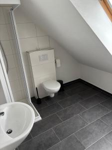 a bathroom with a toilet and a sink at Hochwertige Monteurunterkunft in Zarrentin