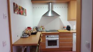 Il comprend une cuisine équipée d'un évier et d'une cuisinière. dans l'établissement Apartamentos Alcañiz, Gala, à Alcañiz
