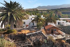 a house on a hill with palm trees at Moijama 12 in Los Llanos de Aridane