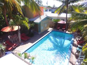 an overhead view of a swimming pool with palm trees at Best Florida Resort in Fort Lauderdale