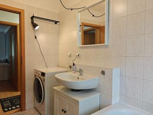 a bathroom with a sink and a washing machine at 3-room vacationapartm Sax Switzerland very basic in Lauterbach