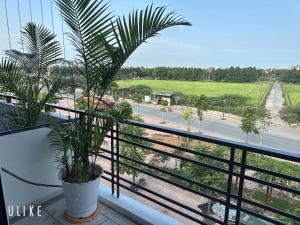 a balcony with a potted plant and a street at Lala hotel in Phủ Từ Sơn