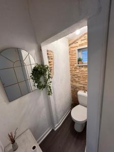 a small bathroom with a toilet and a mirror at Cosy Néroli - T3 - Parking privée plein centre ville in Pau
