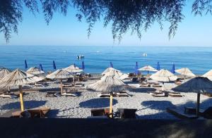 a beach with umbrellas and chairs and the ocean at W beach house in Buljarica
