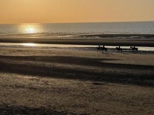 a group of horses walking on the beach at sunset at NÜ-DE GITES ET SPA in Zuydcoote +69 photos
