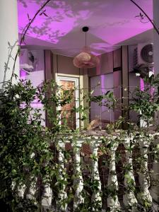 a kitchen with purple ceilings and a potted plant at Osik apartments villa 01 in Golem