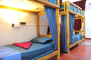 a couple of bunk beds in a room at Wonder Surf Hostel in Arugam Bay