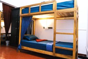 a bunk bed in a room with a ladder at Wonder Surf Hostel in Arugam Bay +19 photos