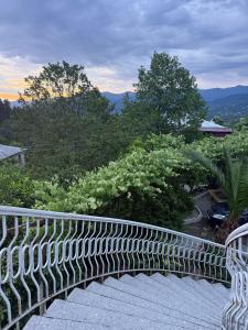 a railing on a balcony with a view of trees at Tsikhisdziri Hotel in Ts'ikhisdziri