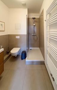 a bathroom with a shower and a toilet at Apartments am Alten Markt in Stralsund +22 photos