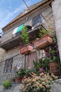 a balcony with potted plants on the side of a building at Bruner Haus - Casa Vacanze in Castelmezzano