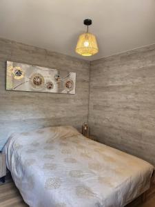 a bedroom with a bed and a chandelier at la perle du pibeste in Agos-Vidalos