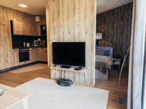 a living room with a flat screen tv on a wooden wall at Apartment Hainich in Mühlhausen