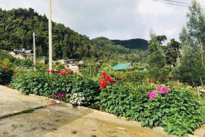 a garden with flowers on the side of a hill at Siriliya Homestay - Foreign Tourists Only in Nuwara Eliya