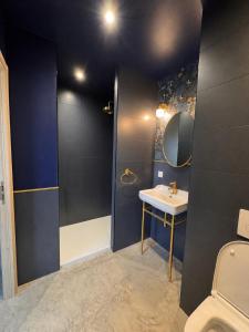 a bathroom with a sink and a shower and a toilet at Studio Céleste - Clim - Parking gratuit - Proche CNPE Blayais in Braud-et-Saint-Louis