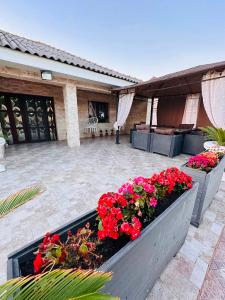 a patio with red flowers in a planter at Casa Maya in Douăzeci şi Trei August