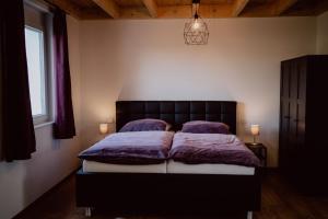 a bedroom with a large bed with purple sheets and pillows at Rheinwald in Weisweil