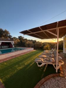 a row of chaise lounges on a lawn next to a pool at CORTIJO RURAL FLOR DE CAZALLA in Cazalla de la Sierra