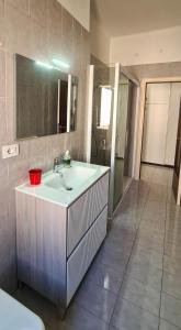 a bathroom with a white sink and a shower at Miramare Apartment in Ancona +22 photos