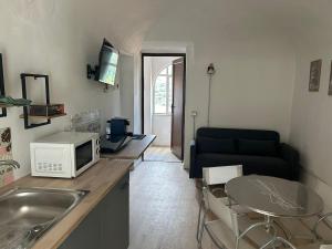 a kitchen with a sink and a microwave on a counter at Pola's House Biella Bio in Biella
