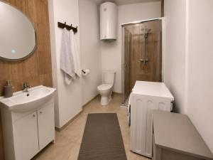 a bathroom with a toilet and a sink and a shower at Nad stawem dom in Pietkowo