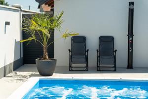 a potted plant sitting next to two chairs next to a swimming pool at Villa Azure Sea in Bijeljina