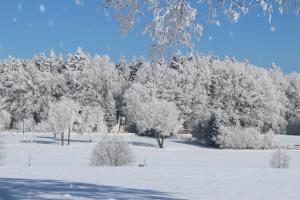 Fotografie z fotogalerie ubytování Penzion Fořtovna v destinaci Častrov