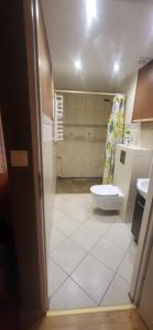a bathroom with a toilet and a sink at Pokoje u Irenki in Augustów +4 photos