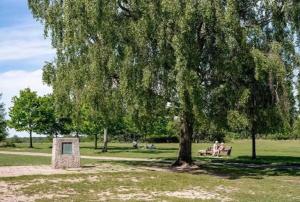 a tree in a park with people sitting on a bench at 1 Bed Apartment Sleeps 2 -Free Parking -WiFi & Tv in Sutton Coldfield