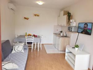 a small apartment with a kitchen and a living room at Apartman Perka in Valbandon