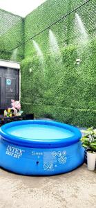 a blue hot tub in front of a green wall at Welcome Hotel in Tashkent