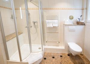 a bathroom with a shower and a toilet at Hotel Seehof Norderney OHG in Norderney
