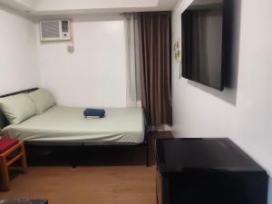 a small room with a bed and a tv at Staycationbabe in Manila