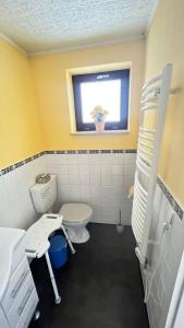 a bathroom with a toilet and a sink and a window at Ferienwohnung Am Apelsberg in Neuhaus am Rennweg