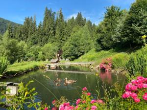 a group of ducks swimming in a river at Vitalhof am Kreischberg by ALPS RESORTS in Bodendorf