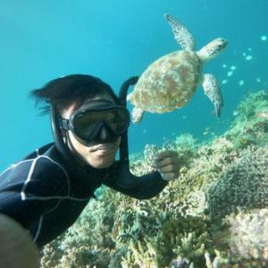 a man in a wetsuit and a turtle in the ocean at Scuba Buddy Mabul Dive Lodge in Pulau Mabul 